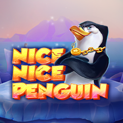Nice Nice Penguin